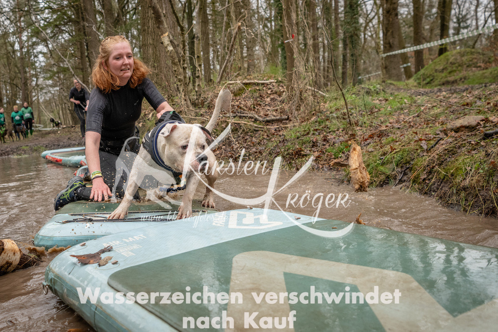 1138_ZZ93914 | kk-dogfotos