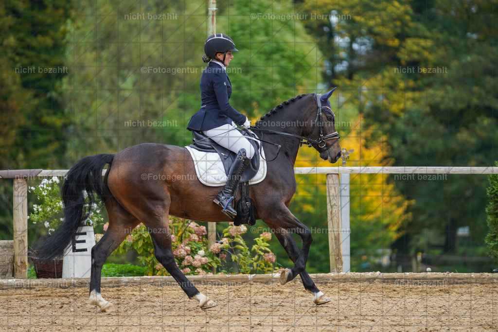 20221007-FAH09798 | Diessen am Ammersee, 2022, Dressur- und Springturnier, Reitsportbilder, Turnierfotografen Bayern, Pferdefotografen, Fotoagentur Herrmann, Turnierbilder