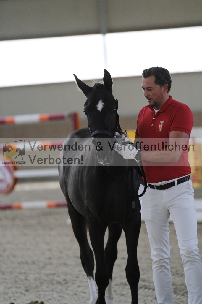 _MG_9313 | equestrian-live-com