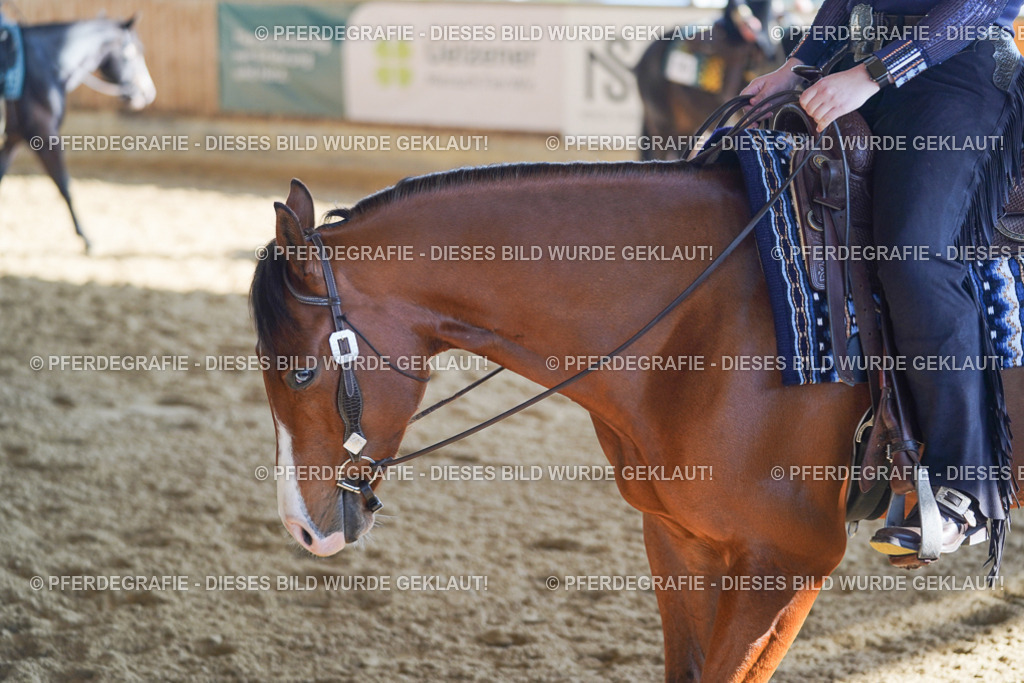 DSC09728 | Pferdegrafie