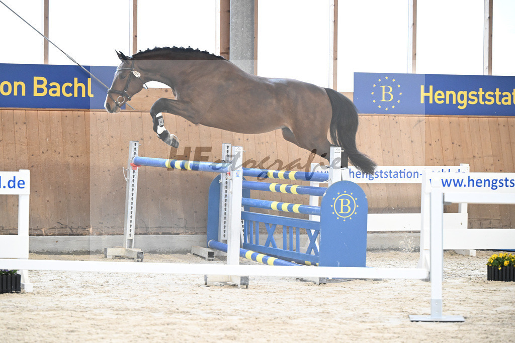 Kat-Nr. 8 nn v. Vigaro_Rau_5251225 | hf-fotografie - Realisiert mit Pictrs.com