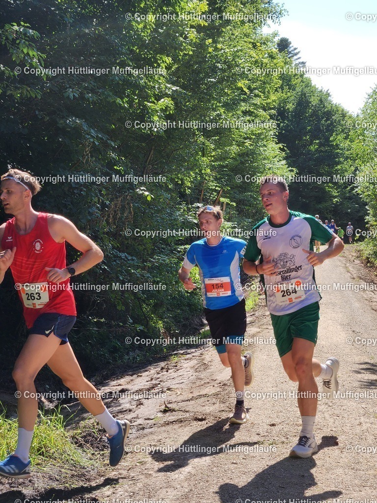 0b5e5f6a-f42f-439d-8a22-b17a00ddd72c | Hüttlinger Muffigelläufe - Realisiert mit Pictrs.com