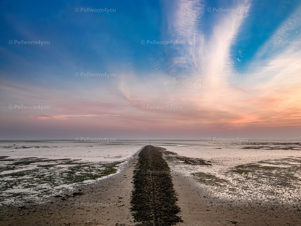 _9180490-Enhanced-NR-sharpen-denoise-lighting-remove | Pellwormer Bilder und Fotos als Poster, auf Leinwand mit Keilrahmen, hinter Acrylglas, auf Alu-Dibond oder Forex-Platte und vieles mehr. Zum verschenken, für die Ferienwohnung oder für zu Hause. - Realisiert mit Pictrs.com