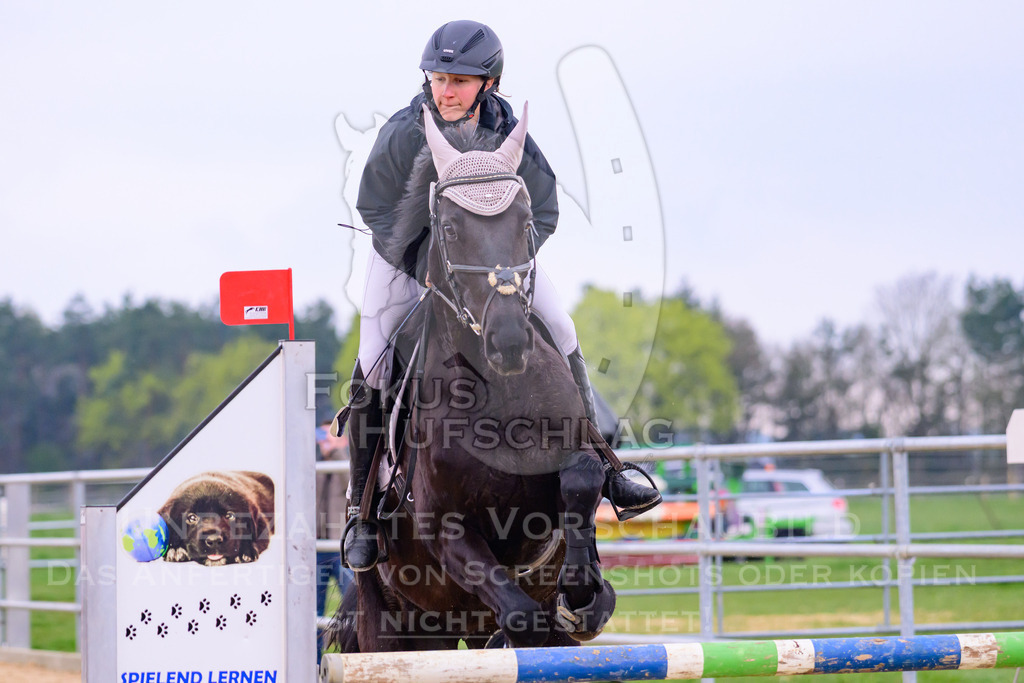 10042026-Mammendorf-Prfg17-0788 | Fokus Hufschlag Fotografie - Realisiert mit Pictrs.com