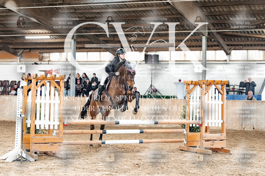 CK904386 | Turnierfotografie Pferdefotografie Trier Rheinland-Pfalz Pferdesport Reitsport Tierfotografie Sportfotografie Pferdevideo Pferdevideografie Equestrianvideography equestrianphotography  - Realized with Pictrs.com
