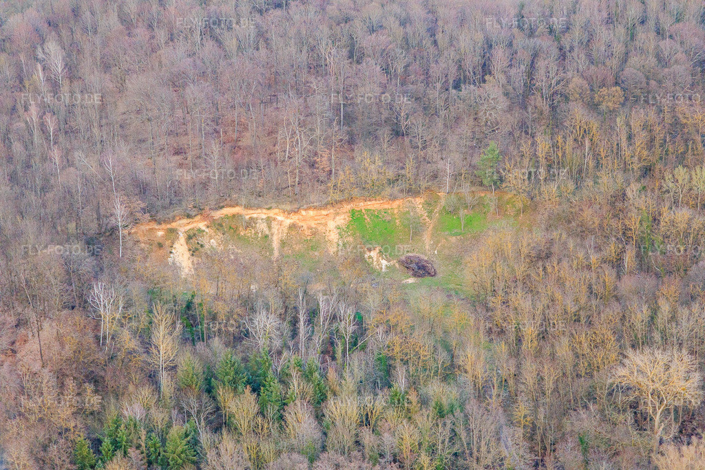 Luftbild: Abbruchkante im Wald im Ortsteil Ingenheim in Billigheim-Ingenheim im Bundesland Rheinland-Pfalz in Deutschland. Foto: IMG_126188.jpg vom 20.03.2021 durch Werner Riehm/FLY-FOTO.de