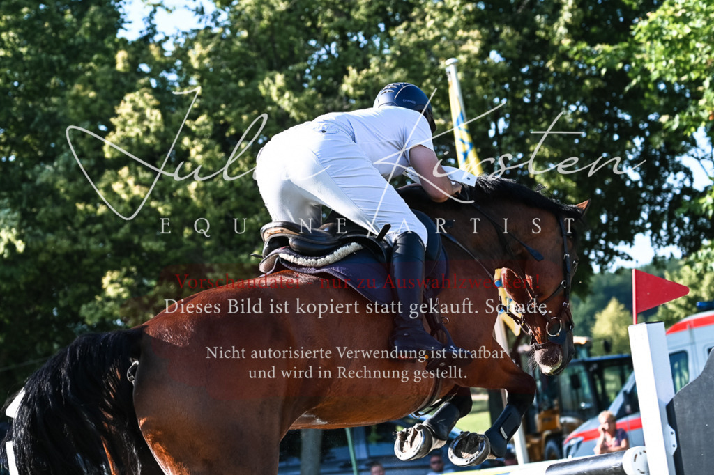 DSC_2729 | Pferde- und Turnierfotografie in Westsachsen. Pferdeportraits, Auftragszeichnungen und intuitive Kunst.