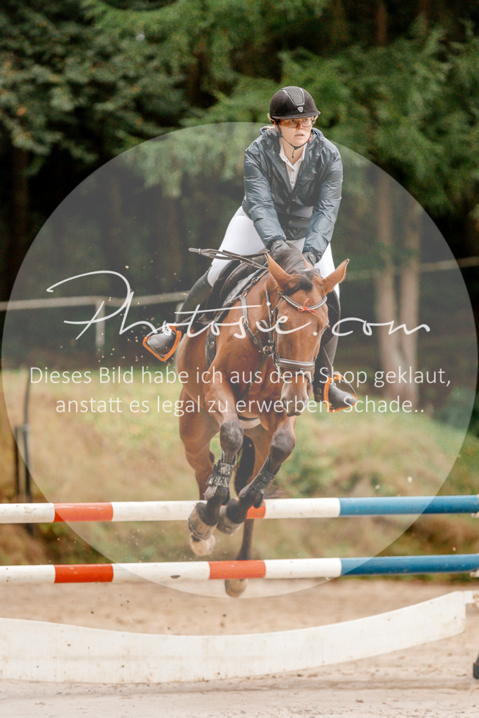 3I6A5857 | Stimmungsvolle Portraits und Reitsportfotografie im Ruhrgebiet und im Münsterland.

Pferdefotografie, Hundefotografie, Tierfotografie, Reportagen, Portraits von Tier und Mensch, Turnierfotografie in Bochum, Recklinghausen, Marl, Haltern am See, Dülmen.. - Realisiert mit Pictrs.com