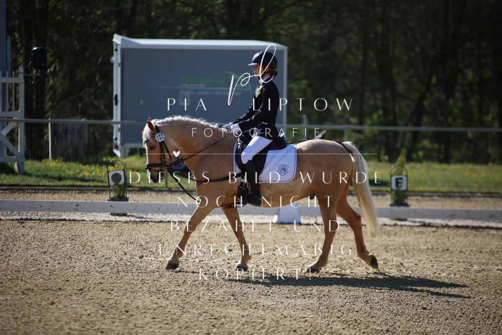 IMGT9474 | pl-fotografie