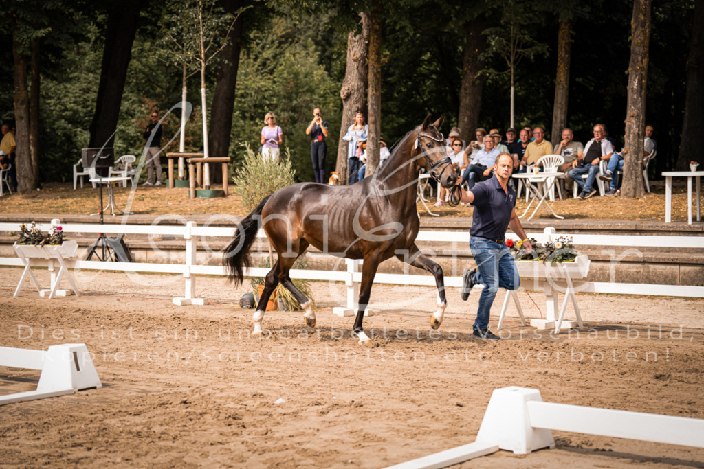 6.Fr00071 | Leoni Ertmer Photography - Realisiert mit Pictrs.com