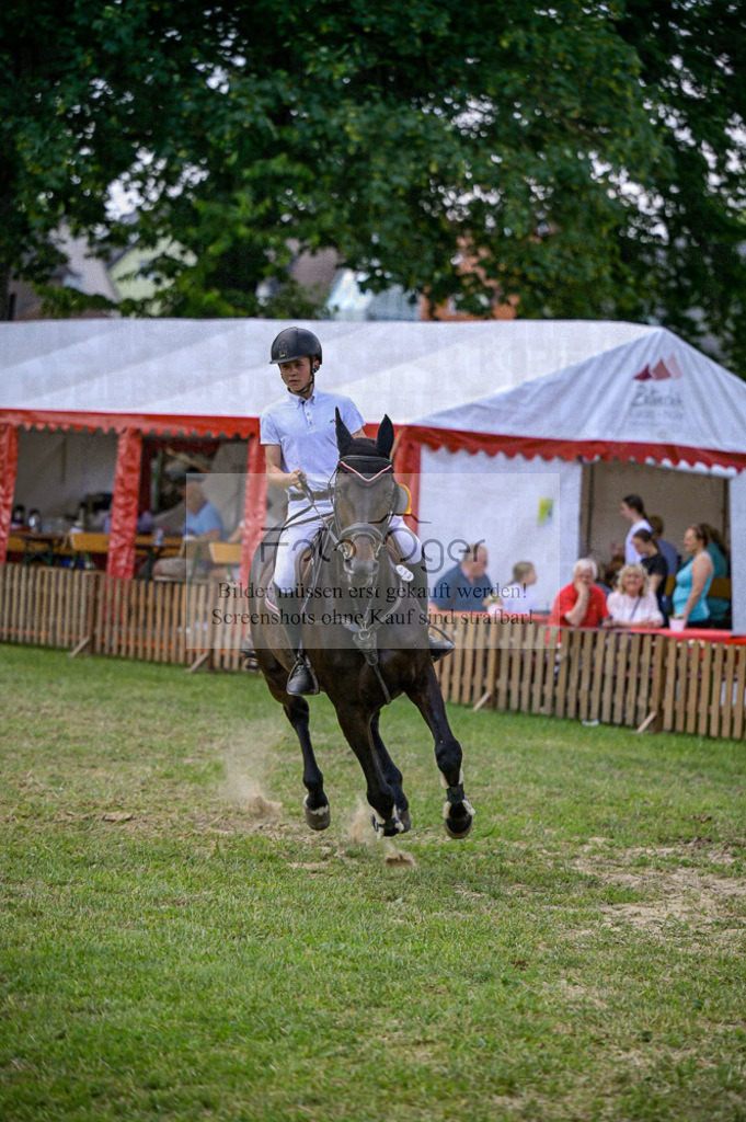 Reitturnier Voxtrup | Entdecke hochwertige Reitturnierfotos von Foto Oger. Professionell, emotional und authentisch – jetzt Lieblingsmomente im Shop bestellen.Deutschlandweite Turnierfotografie. - Realisiert mit Pictrs.com