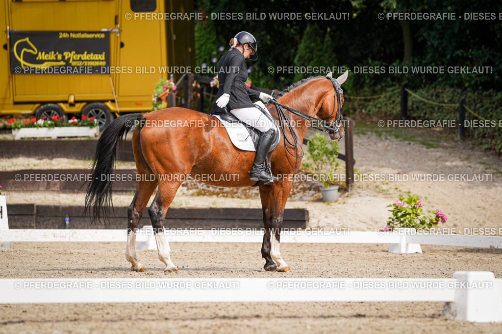 DSC05434 | Pferdegrafie