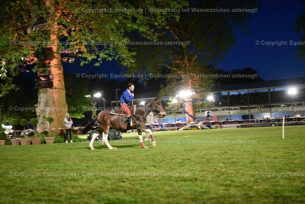 20230526_Pferdenacht_1341 | equistock