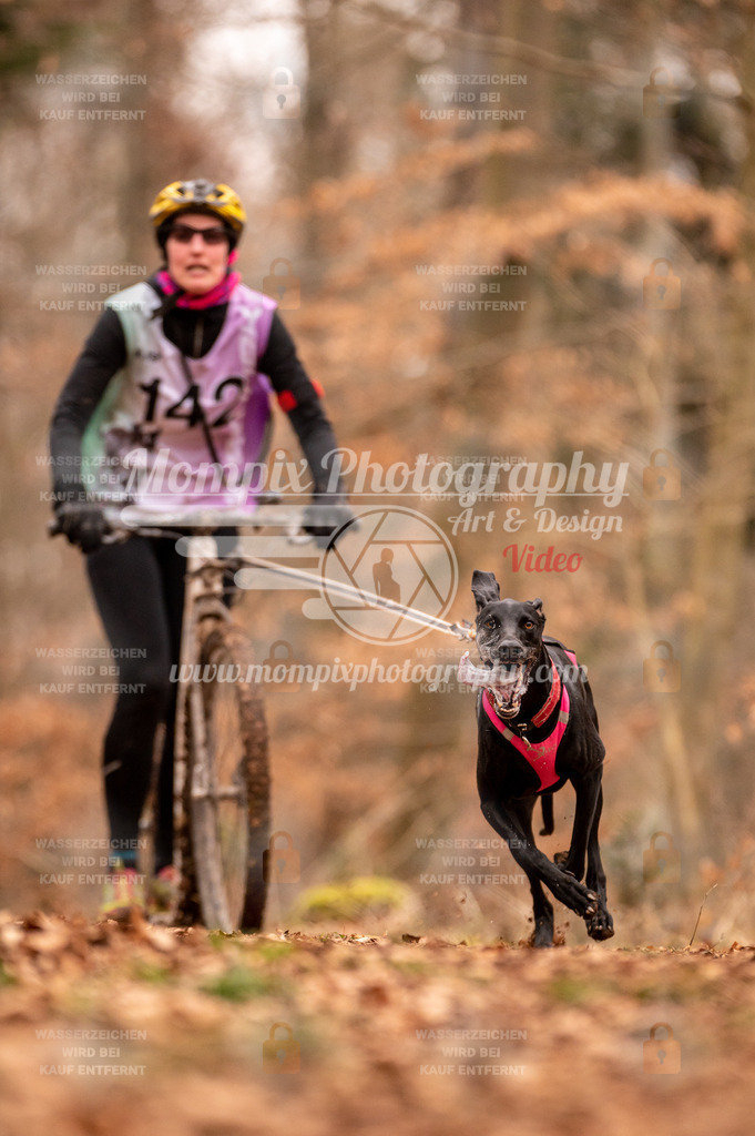 AKM_ST_2023_SAM_Scooter-3 | PayLife