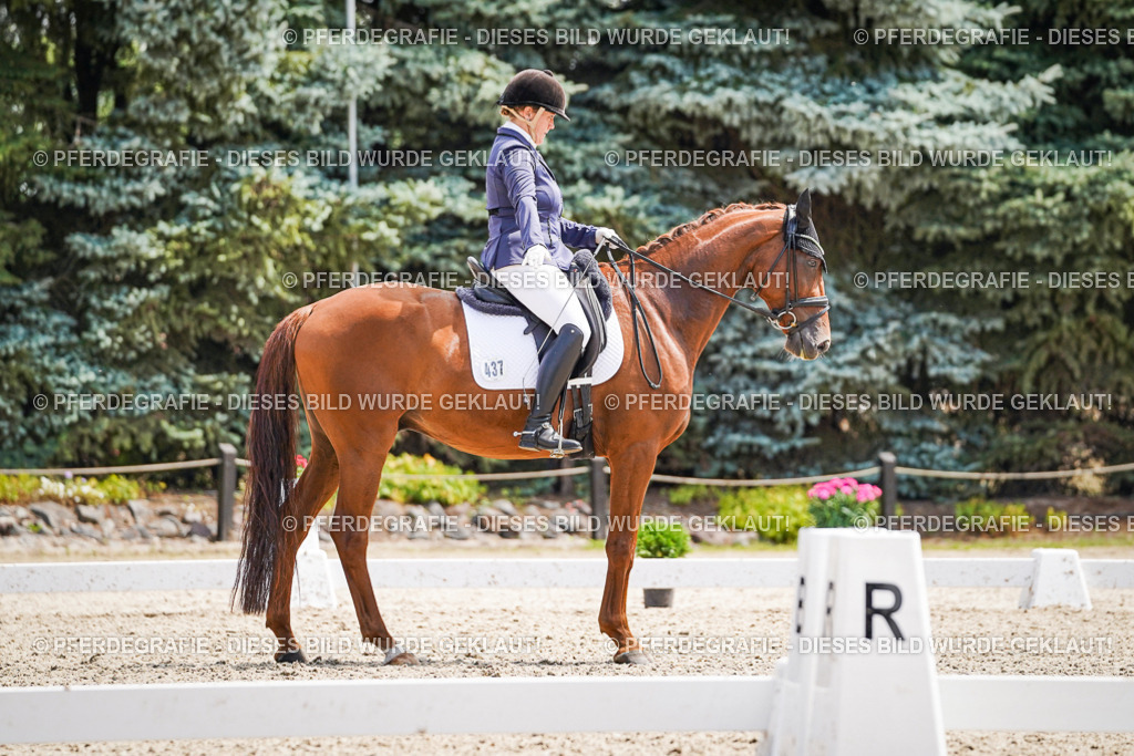 DSC00670 | Pferdegrafie