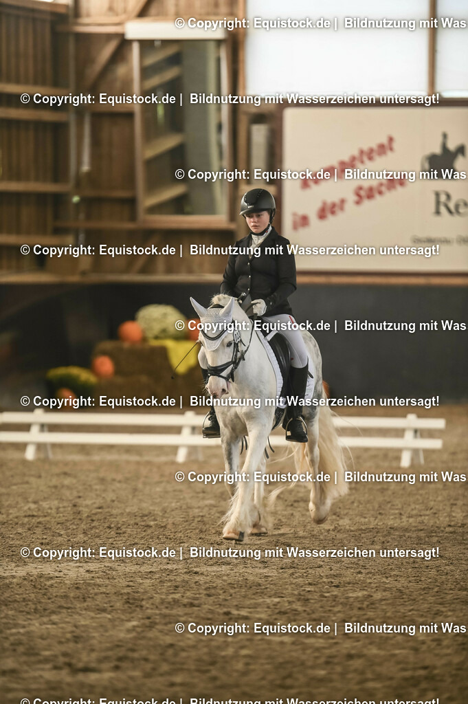 01_Dressur_A_Finale-Volksbank-Championat_0080 | Foto: Thomas Hartig