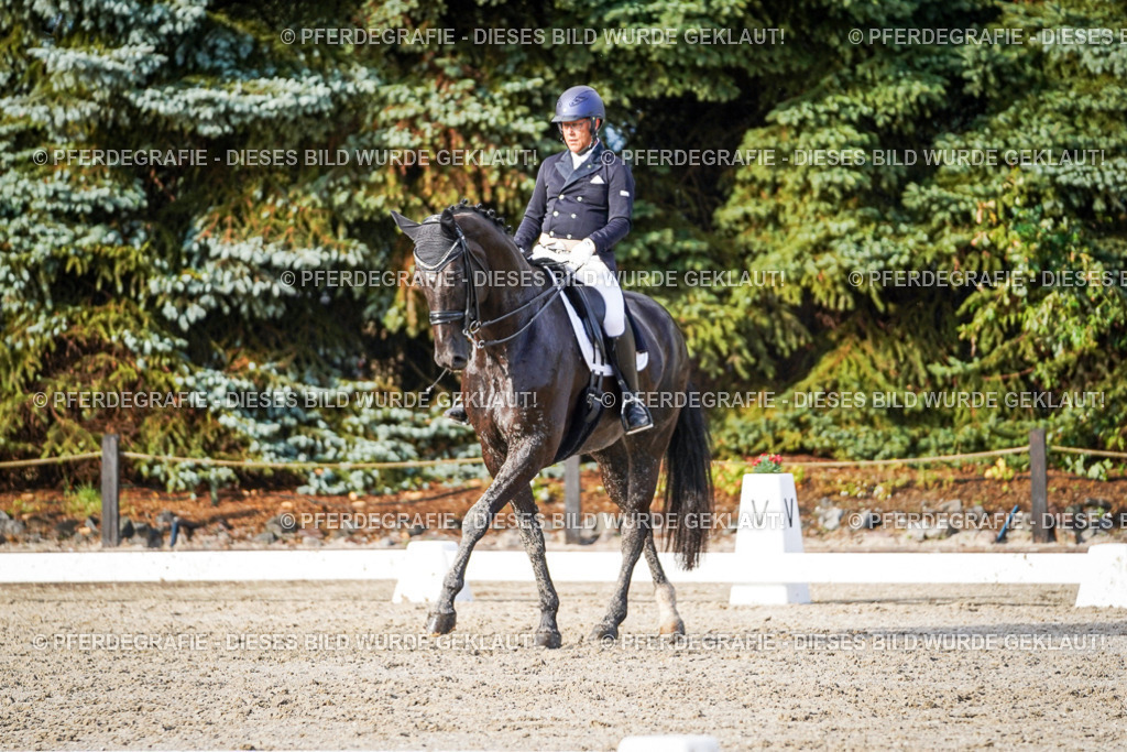 DSC00485 | Pferdegrafie