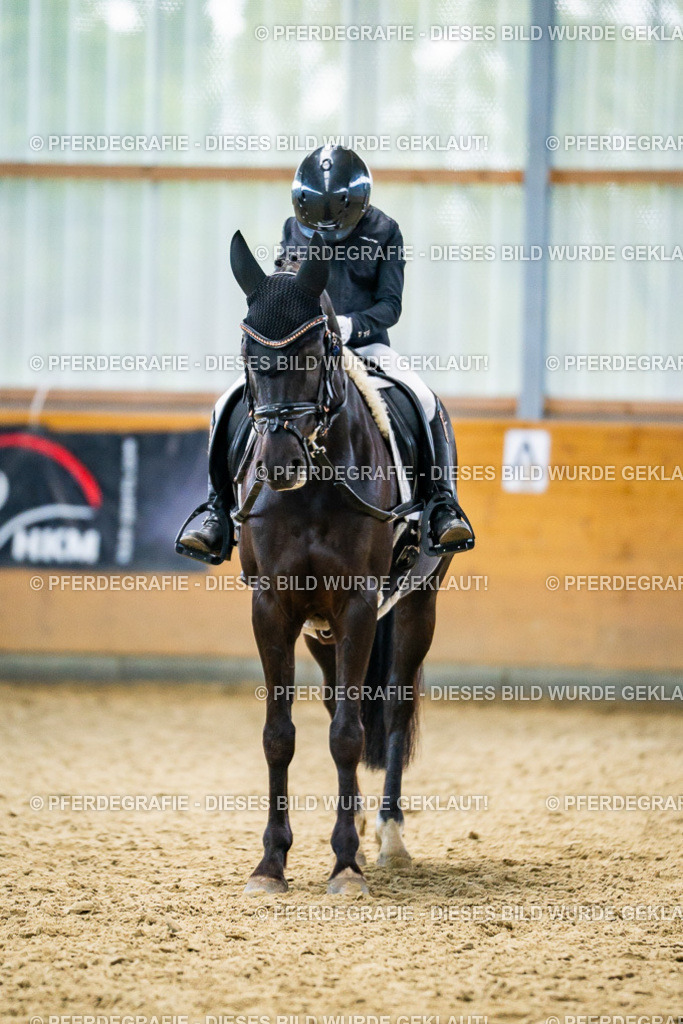 DSC04794 | Pferdegrafie