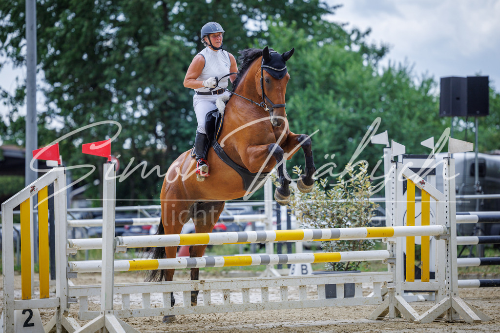 20260705-_3LI5814 | Tierfotografie Pferde, Hunde, Katzen, Haustiere.
Turnierfotografie Reitturniere, Reiten, Springreiten, Dressur in Hanau, dem Main-Kinzig-Kreis und dem Rhein-Main- Gebiet um Frankfurt
