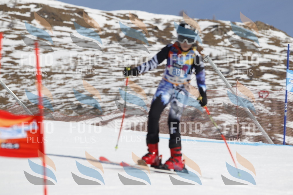 _U3G0123 | holidayphoto