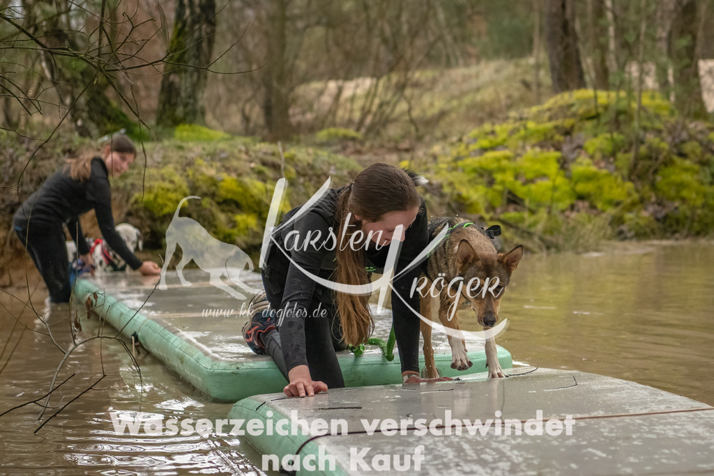 0858_ZZ90011-Bearbeitet | kk-dogfotos