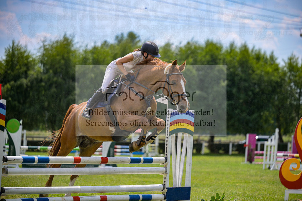 Reitturnier Voxtrup | Entdecke hochwertige Reitturnierfotos von Foto Oger. Professionell, emotional und authentisch – jetzt Lieblingsmomente im Shop bestellen.Deutschlandweite Turnierfotografie. - Realisiert mit Pictrs.com
