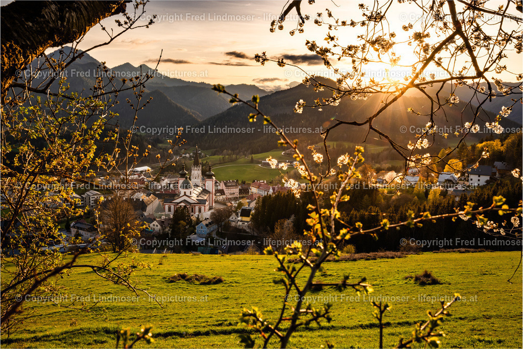 Mariazell Sonnenuntergang Stehralm 2204025 _ Fred Lindmoser--3 | Fotos und Fotoprodukte - Realisiert mit Pictrs.com