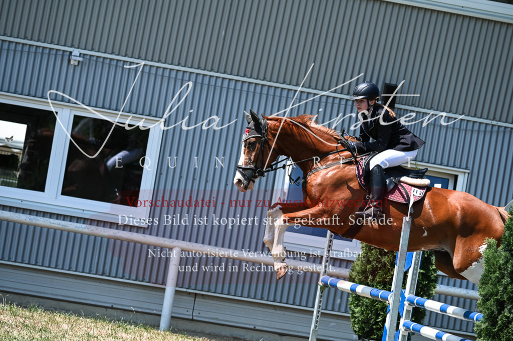 DSC_0018 | Pferde- und Turnierfotografie in Westsachsen. Pferdeportraits, Auftragszeichnungen und intuitive Kunst.