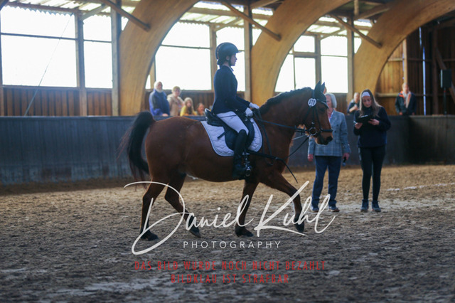 IMG_1351 | Turniersportfotografie; Pferdefotografie; Dressurfotografie