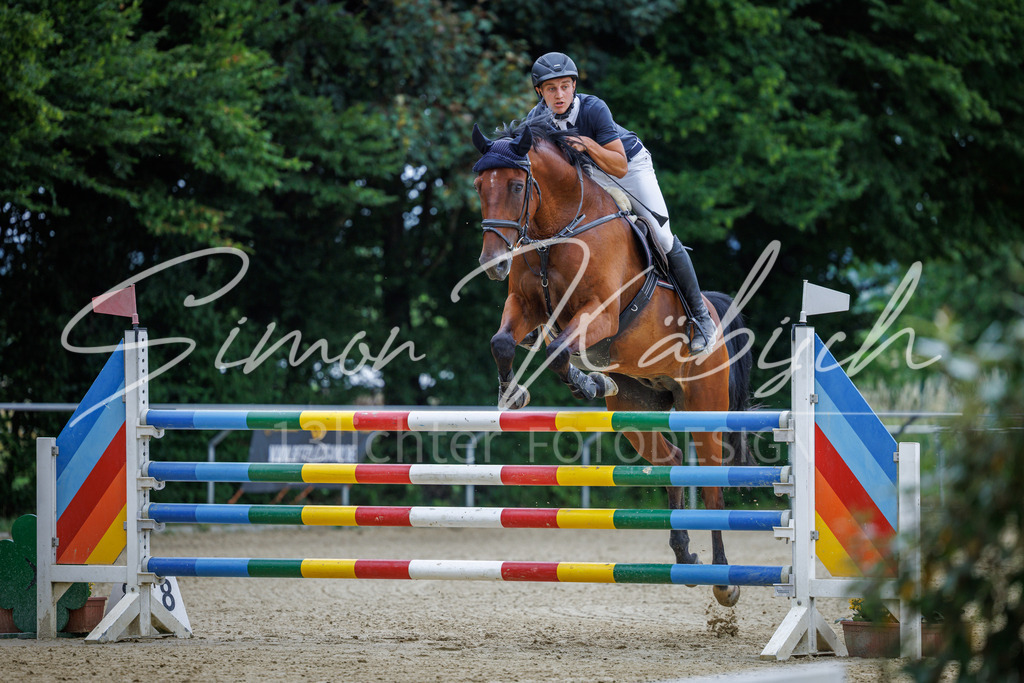 20260705-_3LI6429 | Tierfotografie Pferde, Hunde, Katzen, Haustiere.
Turnierfotografie Reitturniere, Reiten, Springreiten, Dressur in Hanau, dem Main-Kinzig-Kreis und dem Rhein-Main- Gebiet um Frankfurt