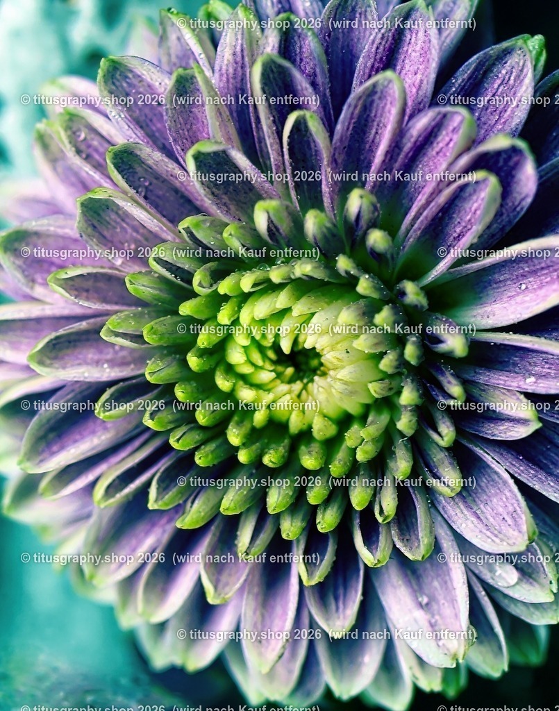 titusgraphy_P7159401-vz-ln_pe-08 | titusgraphy-shop: Geschenkideen mit Qualitätsfotos. titusgraphy-shop: gift ideas with quality photos. titusgraphy-shop: idées cadeaux avec photos de qualité.  - Realisiert mit Pictrs.com