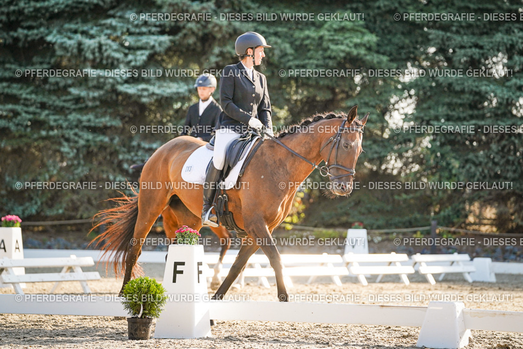 DSC08373 | Pferdegrafie