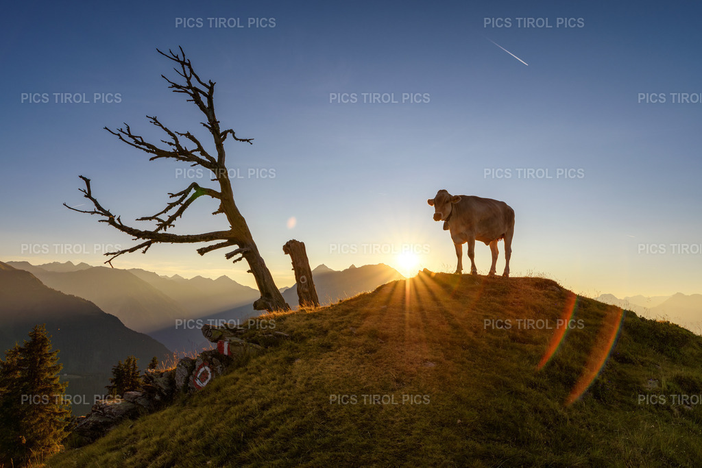 DSC_0519-Verbessert-RR-Bearbeitet | Tirolpics