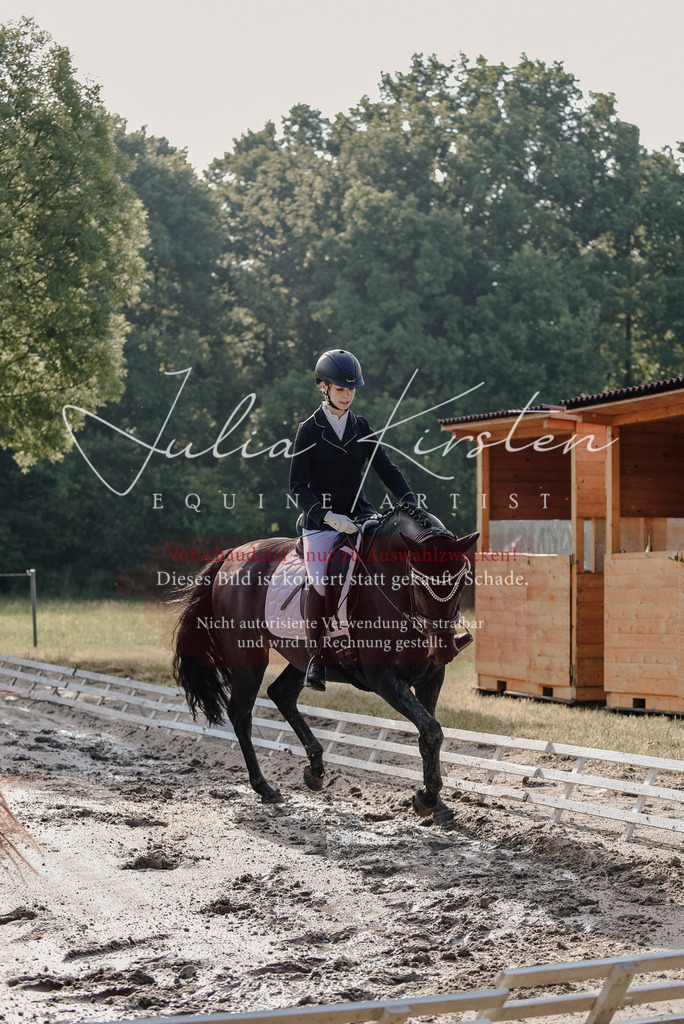DSC_7788 | Pferde- und Turnierfotografie in Westsachsen. Pferdeportraits, Auftragszeichnungen und intuitive Kunst.