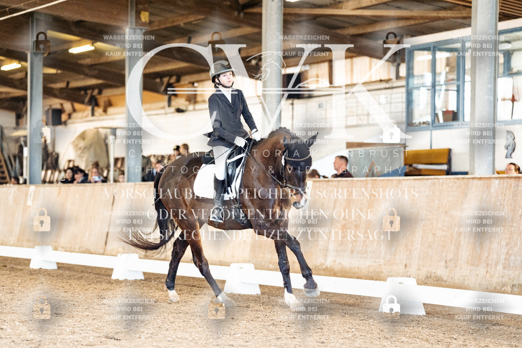CK909897 | Turnierfotografie Pferdefotografie Trier Rheinland-Pfalz Pferdesport Reitsport Tierfotografie Sportfotografie Pferdevideo Pferdevideografie Equestrianvideography equestrianphotography  - Realisiert mit Pictrs.com