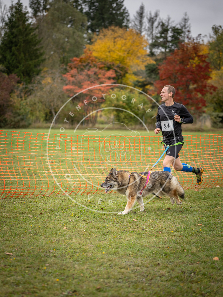 Pfotenfotografie_DV3A3131 | Hundefotografie, Tierfotograf, Pfotenfotografie, Fotoshooting Hund, Hunde Portrait, Hundesport, Hundeportraits, Heideshooting, Hunde, Sportfotograf, Hundefotograf, Turnierhundsport, THS,  - Realisiert mit Pictrs.com