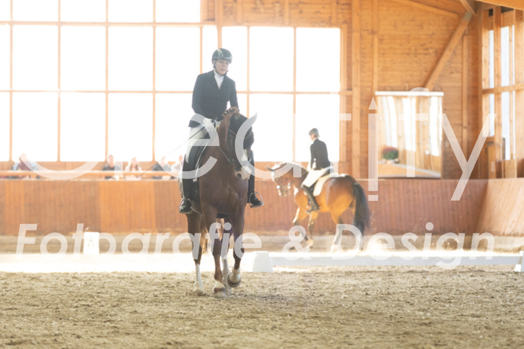 IMG_3597 | Creatify Fotografie