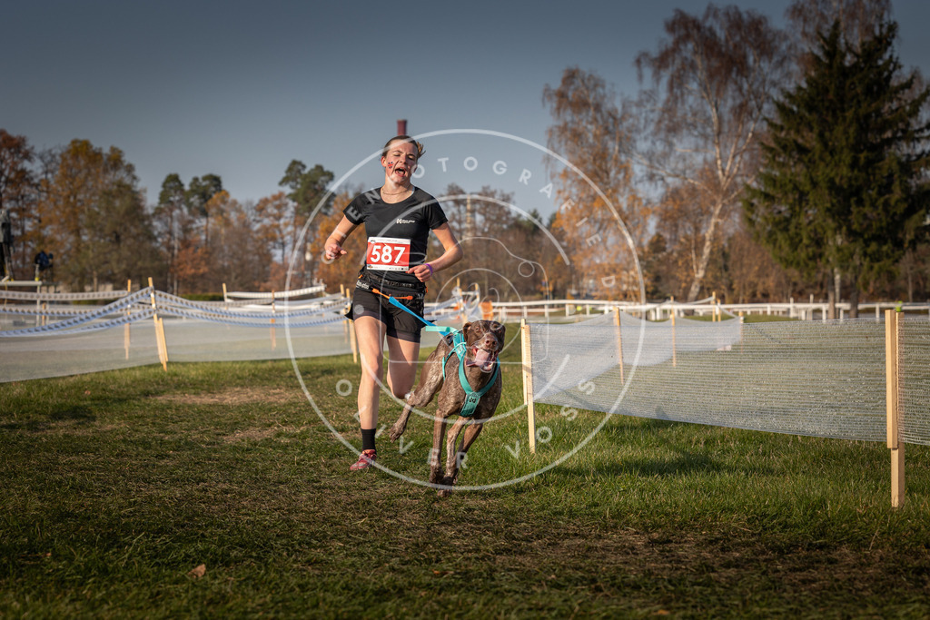 CaniXpix_0L8A9766 | Hundefotografie, Tierfotograf, Pfotenfotografie, Fotoshooting Hund, Hunde Portrait, Hundesport, Hundeportraits, Heideshooting, Hunde, Sportfotograf, Hundefotograf, Turnierhundsport, THS,  - Realisiert mit Pictrs.com