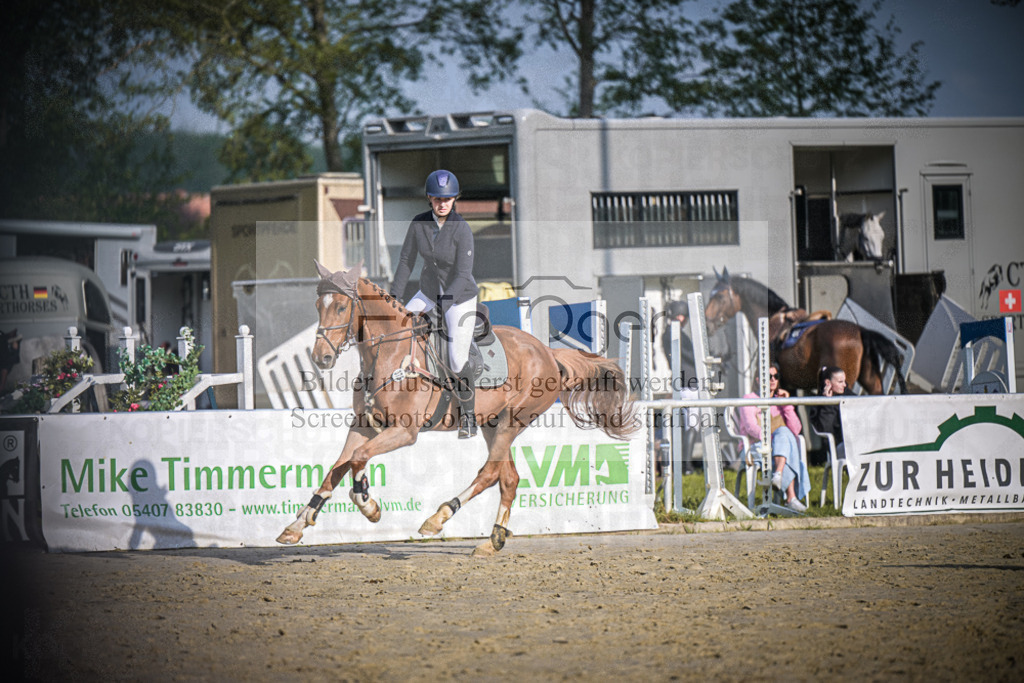 DOS_4128 | Entdecke hochwertige Reitturnierfotos von Foto Oger. Professionell, emotional und authentisch – jetzt Lieblingsmomente im Shop bestellen.Deutschlandweite Turnierfotografie. - Realisiert mit Pictrs.com
