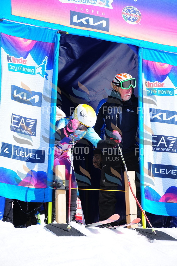 DSC_3729 | holidayphoto