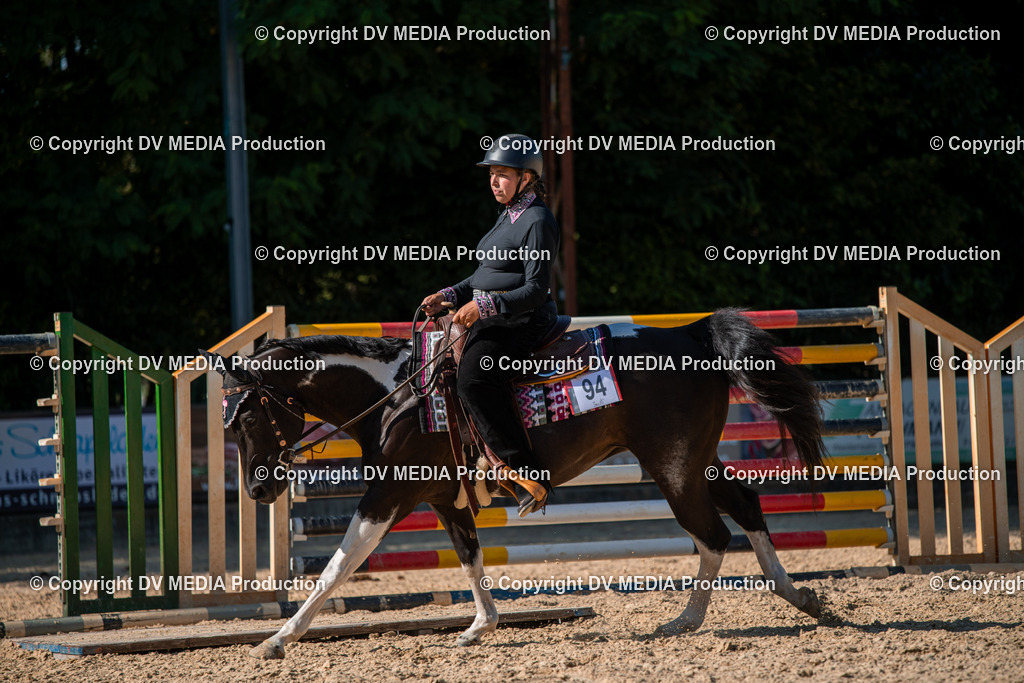 EWP_6993 | dv-media-shop - Realisiert mit Pictrs.com