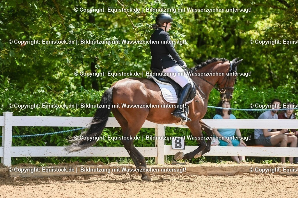 20230716_03_Dressurprfg. Kl.L - Tr._0125 | equistock