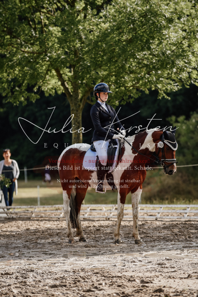 DSC_8719 | Pferde- und Turnierfotografie in Westsachsen. Pferdeportraits, Auftragszeichnungen und intuitive Kunst.