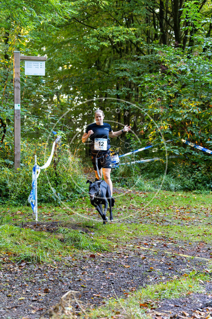 Pfotenfotografie_DV3A6309 | Hundefotografie, Tierfotograf, Pfotenfotografie, Fotoshooting Hund, Hunde Portrait, Hundesport, Hundeportraits, Heideshooting, Hunde, Sportfotograf, Hundefotograf, Turnierhundsport, THS,  - Realisiert mit Pictrs.com