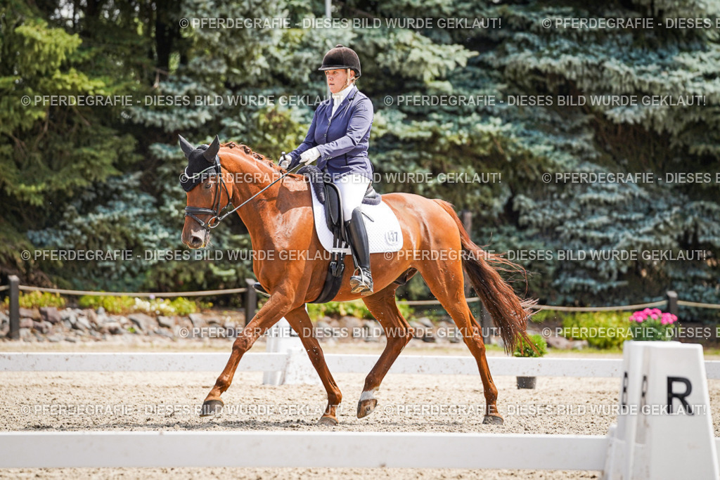 DSC00614 | Pferdegrafie