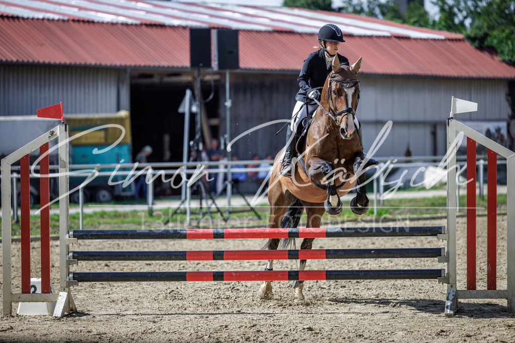 20260905-_3LI9142 | Tierfotografie Pferde, Hunde, Katzen, Haustiere.
Turnierfotografie Reitturniere, Reiten, Springreiten, Dressur in Hanau, dem Main-Kinzig-Kreis und dem Rhein-Main- Gebiet um Frankfurt