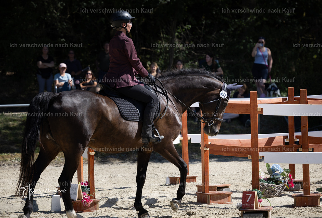 EJ3A5019 | working equitationturnier fotograf videograf stoibphotography marixx film working equitation deutschland reitsport turnierfotografie eventfotografie equestrian events