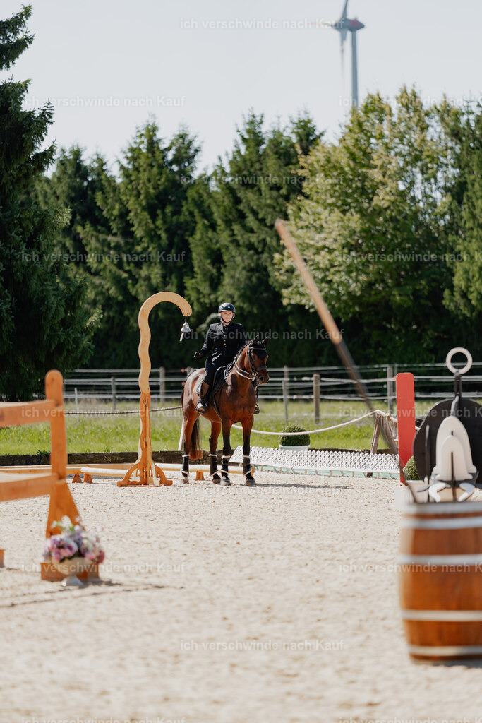 Lara_21_FHC2025-25 | working equitationturnier fotograf videograf stoibphotography marixx film working equitation deutschland reitsport turnierfotografie eventfotografie equestrian events