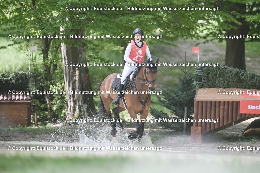 20250517_CCI2_Gelände_1188 | Foto: Thomas Hartig