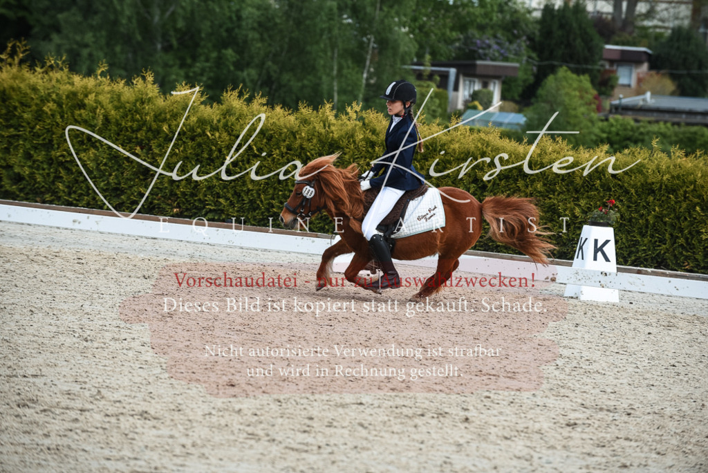 20230518_JK-Röhrsdorf-11-0968 | Pferde- und Turnierfotografie in Westsachsen. Pferdeportraits, Auftragszeichnungen und intuitive Kunst.
